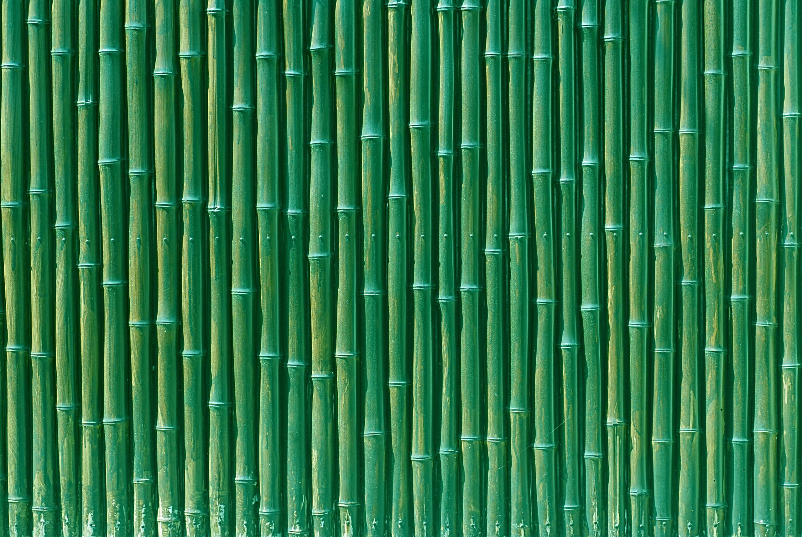 Bamboo