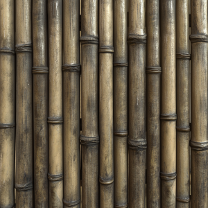Bamboo Old 02