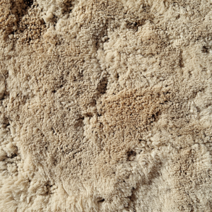 Fabric Carpet 04