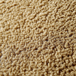 Fabric Carpet 05