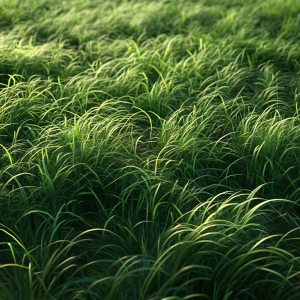Grass 01