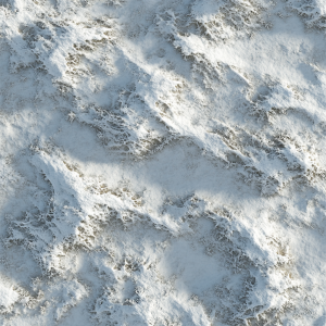 Snow 07