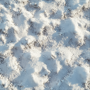 Snow 05