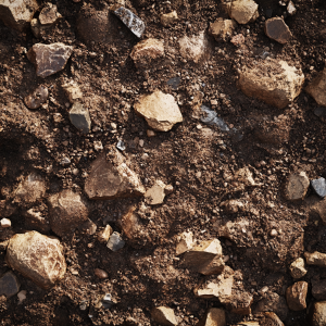 Soil 03