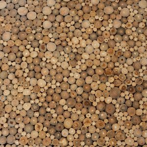 Wood 144