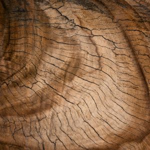 Wood 155