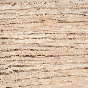 Wood 24