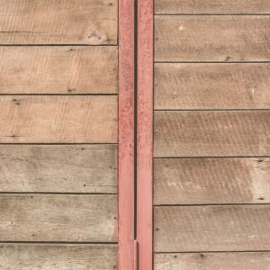 Wood 49