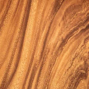 Wood 77