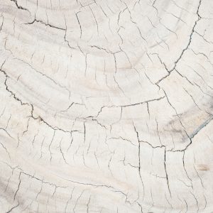 Wood 82