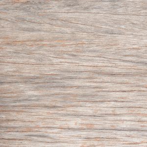 Wood 89